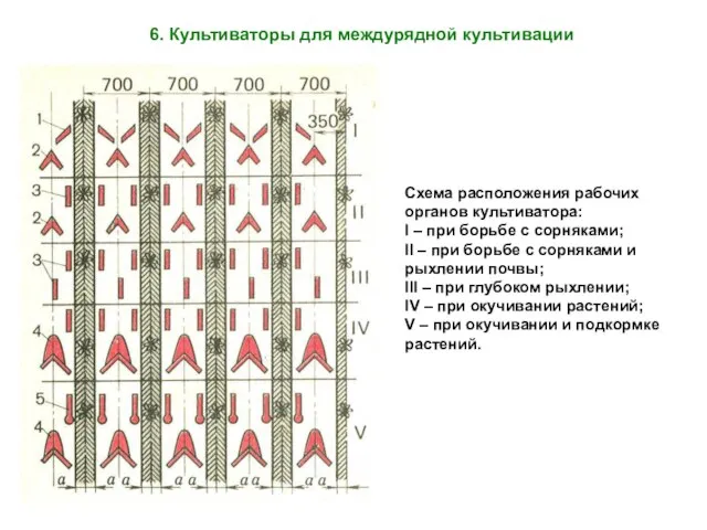 Схема расположения рабочих органов культиватора: I – при борьбе с сорняками;