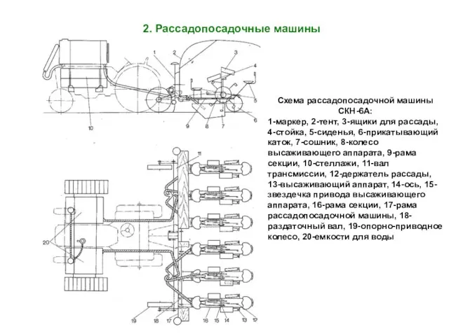 2. Рассадопосадочные машины Схема рассадопосадочной машины СКН-6А: 1-маркер, 2-тент, 3-ящики для