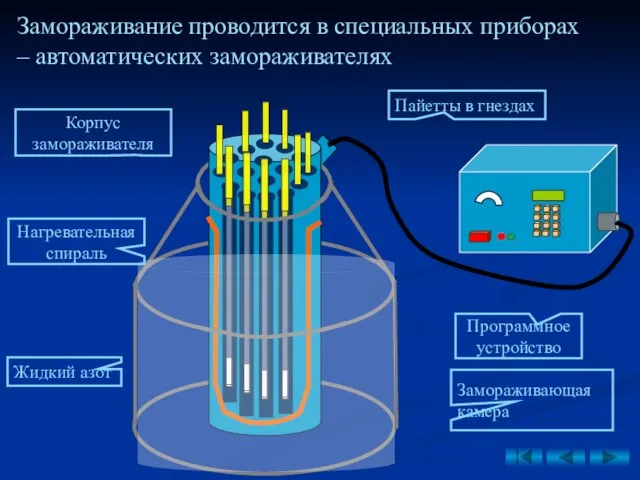 Замораживающая камера Программное устройство Нагревательная спираль Корпус замораживателя Пайетты в гнездах