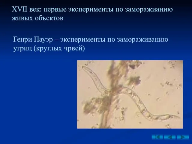 XVII век: первые эксперименты по заморажианию живых объектов Генри Пауэр –