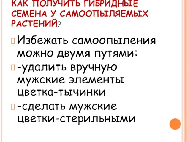 КАК ПОЛУЧИТЬ ГИБРИДНЫЕ СЕМЕНА У САМООПЫЛЯЕМЫХ РАСТЕНИЙ? Избежать самоопыления можно двумя