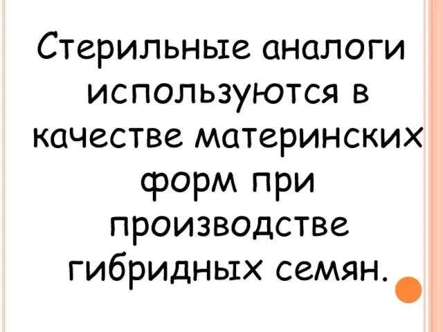 Стерильные аналоги используются в качестве материнских форм при производстве гибридных семян.