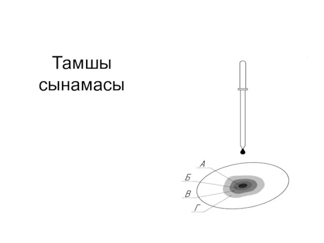 Тамшы сынамасы