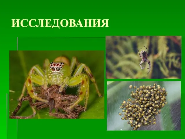 ИССЛЕДОВАНИЯ