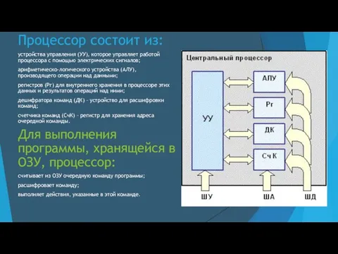 Процессор состоит из: устройства управления (УУ), которое управляет работой процессора с