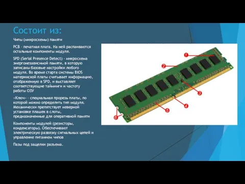 Состоит из: Чипы (микросхемы) памяти РСВ – печатная плата. На ней