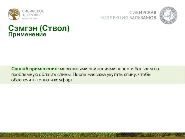 Способ применения: массажными движениями нанести бальзам на проблемную область спины. После