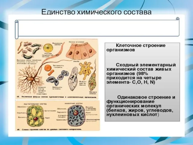 Единство химического состава