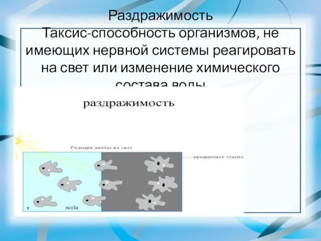 Раздражимость Таксис-способность организмов, не имеющих нервной системы реагировать на свет или изменение химического состава воды