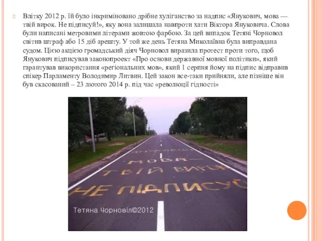 Влітку 2012 р. їй було інкриміновано дрібне хуліганство за надпис «Янукович,