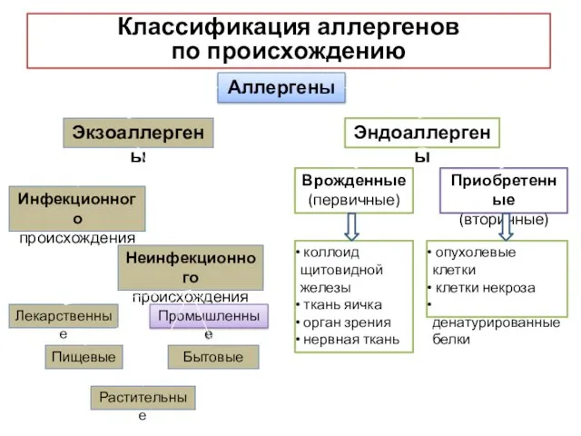 Классификация аллергенов по происхождению Аллергены Эндоаллергены Экзоаллергены Приобретенные (вторичные) Врожденные (первичные)