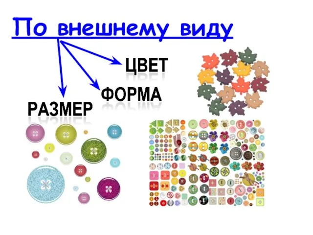 По внешнему виду