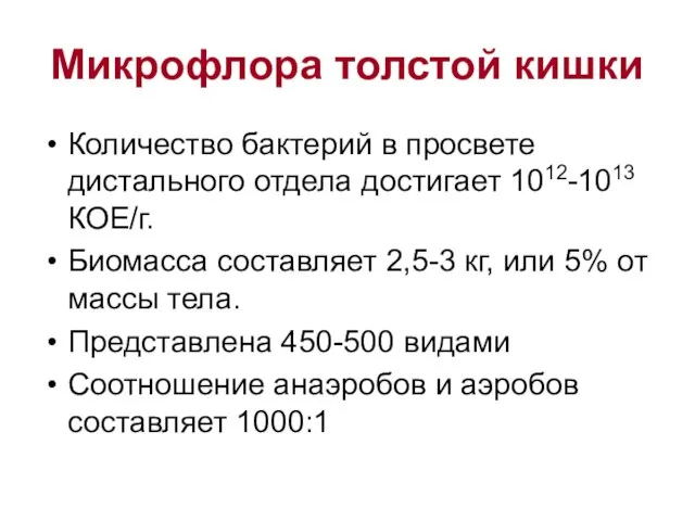 Микрофлора толстой кишки Количество бактерий в просвете дистального отдела достигает 1012-1013