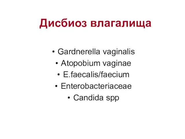 Дисбиоз влагалища Gardnerella vaginalis Atopobium vaginae E.faecalis/faecium Enterobacteriaceae Candida spp