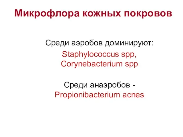 Микрофлора кожных покровов Среди аэробов доминируют: Staphylococcus spp, Corynebacterium spp Среди анаэробов - Propionibacterium acnes