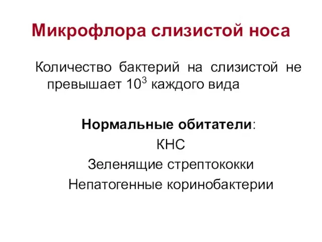 Микрофлора слизистой носа Количество бактерий на слизистой не превышает 103 каждого