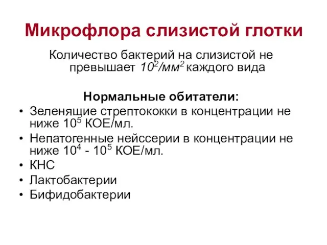 Микрофлора слизистой глотки Количество бактерий на слизистой не превышает 102/мм2 каждого