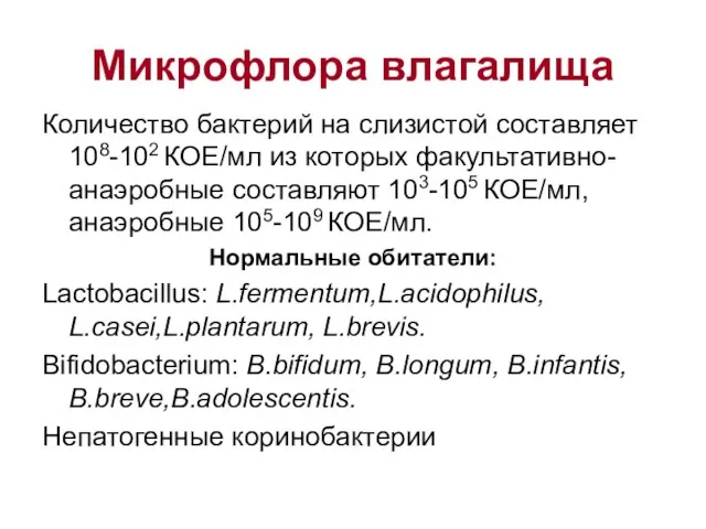 Микрофлора влагалища Количество бактерий на слизистой составляет 108-102 КОЕ/мл из которых