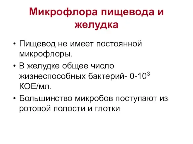 Микрофлора пищевода и желудка Пищевод не имеет постоянной микрофлоры. В желудке