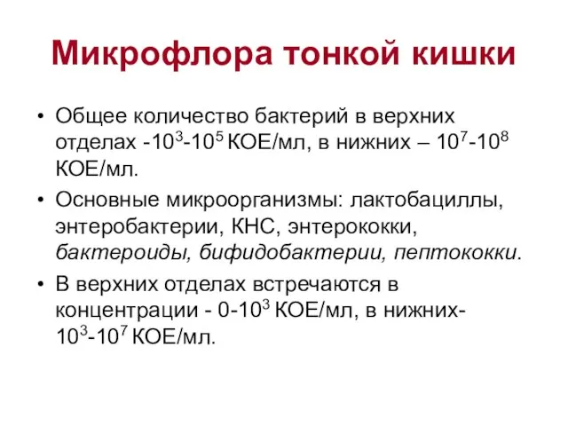 Микрофлора тонкой кишки Общее количество бактерий в верхних отделах -103-105 КОЕ/мл,