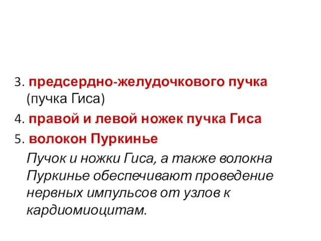 3. предсердно-желудочкового пучка (пучка Гиса) 4. правой и левой ножек пучка