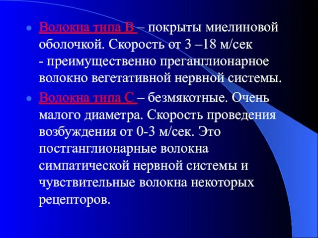 Волокна типа В – покрыты миелиновой оболочкой. Скорость от 3 –18