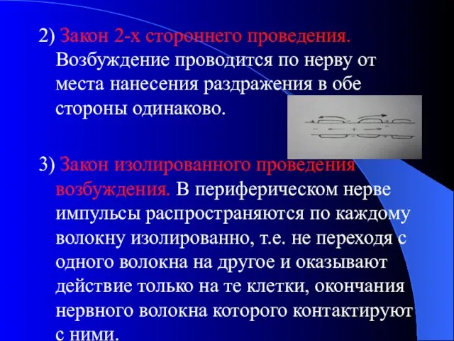 2) Закон 2-х стороннего проведения. Возбуждение проводится по нерву от места