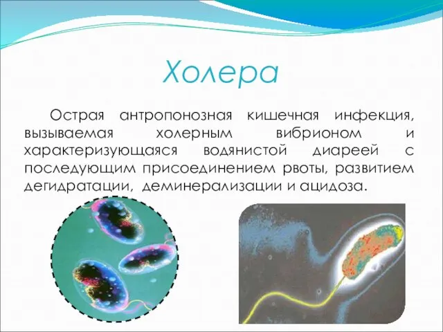 Холера Острая антропонозная кишечная инфекция, вызываемая холерным вибрионом и характеризующаяся водянистой