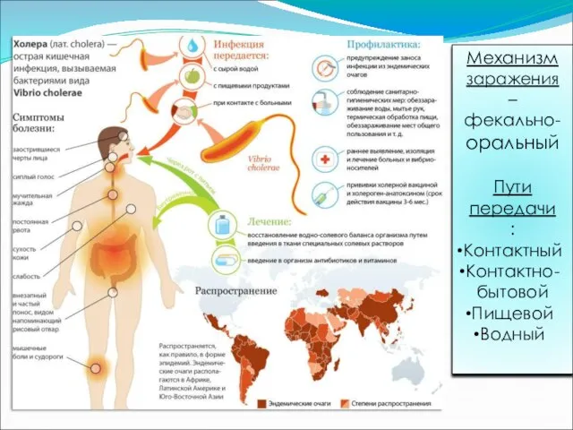 Механизм заражения – фекально-оральный Пути передачи : Контактный Контактно-бытовой Пищевой Водный