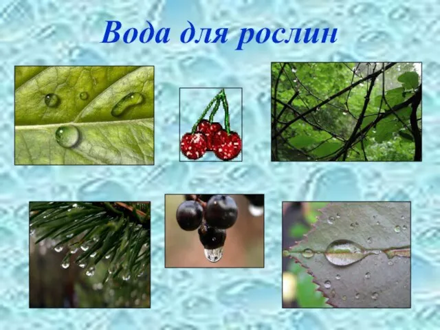 Вода для рослин