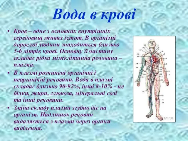 Вода в крові Кров – одне з основних внутрішніх середовищ живих