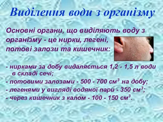 Виділення води з організму Основні органи, що виділяють воду з організму