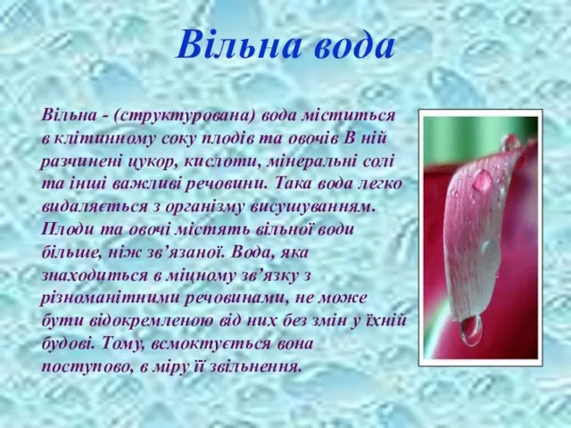 Вільна вода Вільна - (структурована) вода міститься в клітинному соку плодів