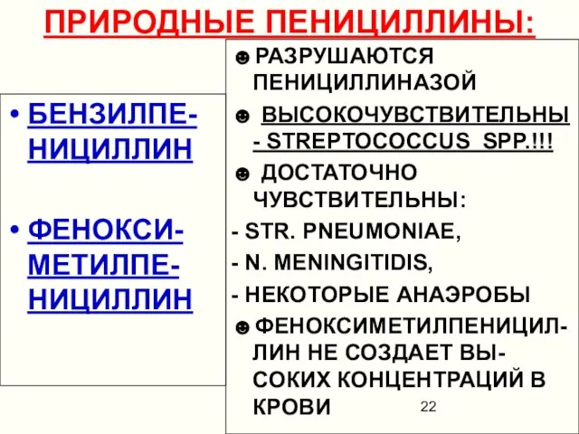 ПРИРОДНЫЕ ПЕНИЦИЛЛИНЫ: БЕНЗИЛПЕ-НИЦИЛЛИН ФЕНОКСИ-МЕТИЛПЕ-НИЦИЛЛИН ☻РАЗРУШАЮТСЯ ПЕНИЦИЛЛИНАЗОЙ ☻ ВЫСОКОЧУВСТВИТЕЛЬНЫ - STREPTOCOCCUS SPP.!!!