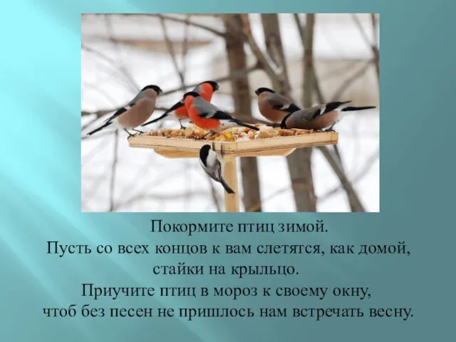 Покормите птиц зимой. Пусть со всех концов к вам слетятся, как