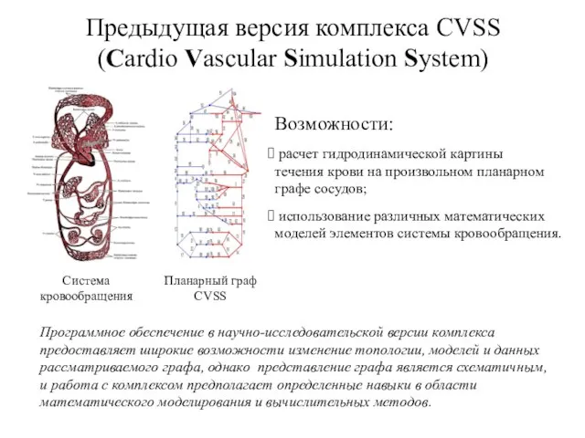 Система кровообращения Планарный граф CVSS Программное обеспечение в научно-исследовательской версии комплекса