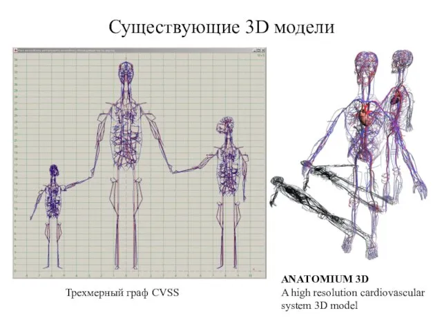 ANATOMIUM 3D A high resolution cardiovascular system 3D model Трехмерный граф CVSS Существующие 3D модели