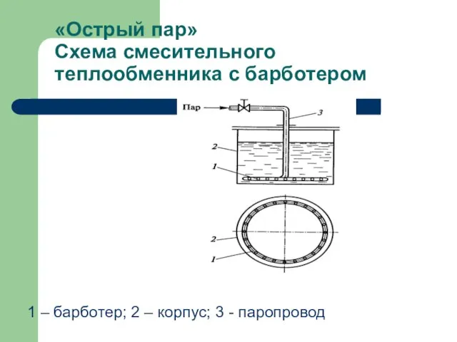 «Острый пар» Схема смесительного теплообменника с барботером 1 – барботер; 2 – корпус; 3 - паропровод