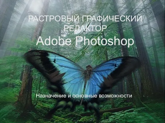 РАСТРОВЫЙ ГРАФИЧЕСКИЙ РЕДАКТОР Adobe Photoshop Назначение и основные возможности