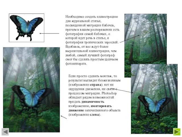 Необходимо создать иллюстрацию для журнальной статьи, посвященной миграции бабочек, причем в