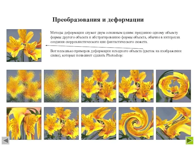 Преобразования и деформации Методы деформации служат двум основным целям: приданию одному