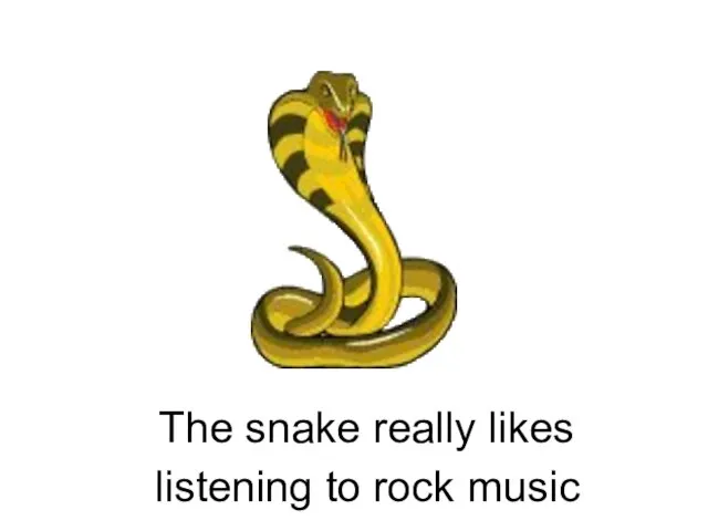 listening to rock music The snake really likes