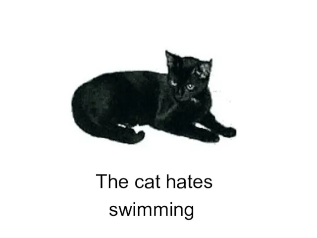 swimming The cat hates