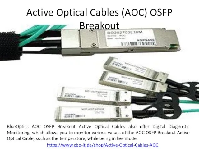 Active Optical Cables (AOC) OSFP Breakout BlueOptics AOC OSFP Breakout Active