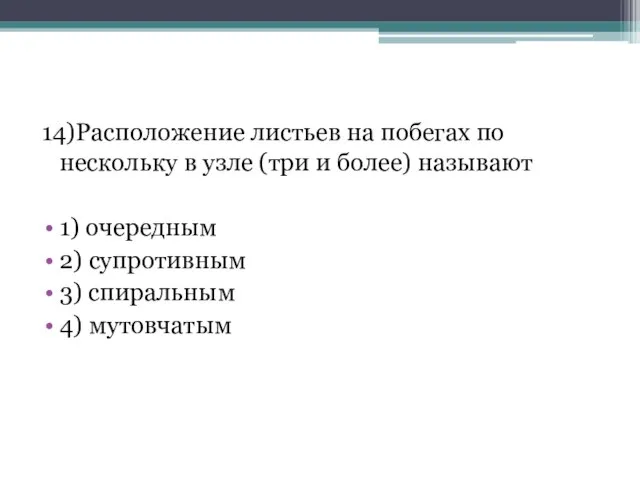 14)Расположение листьев на побегах по нескольку в узле (три и более)