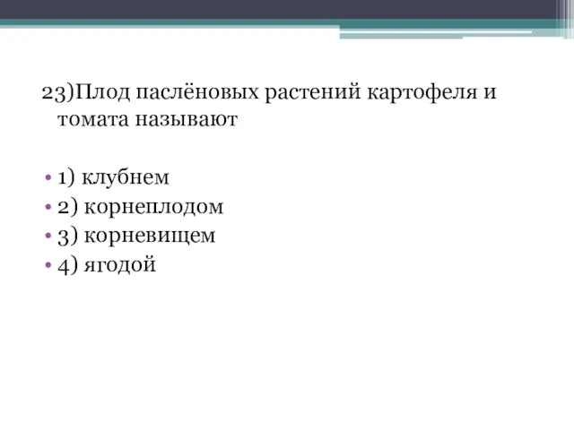 23)Плод паслёновых растений картофеля и томата называют 1) клубнем 2) корнеплодом 3) корневищем 4) ягодой