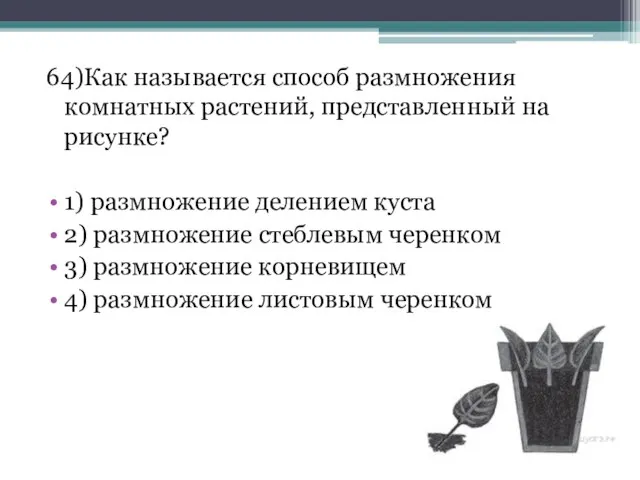 64)Как называется способ размножения комнатных растений, представленный на рисунке? 1) размножение