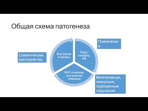 Общая схема патогенеза Психические нарушения Вегетативные, иммунные, эндокринные нарушения Соматические расстройства