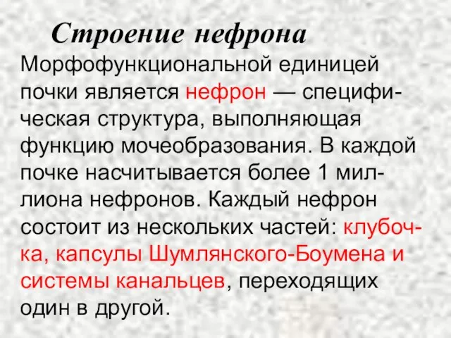 Строение нефрона Морфофункциональной единицей почки является нефрон — специфи-ческая структура, выполняющая