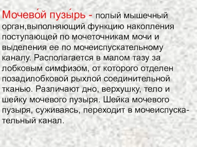 Мочево́й пузы́рь - полый мышечный орган,выполняющий функцию накопления поступающей по мочеточникам